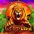 the wild life slot machine